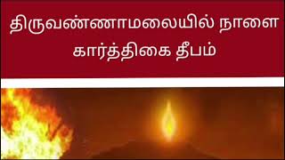 திருவண்ணாமலை தீப தரிசனம்# சிவன்# முருகன்#thiruvannamalai #deepam #annamalai