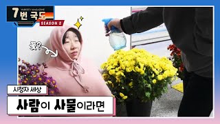 [7번국도] 시청자 세상 : 사람👤이 사물📦이라면?