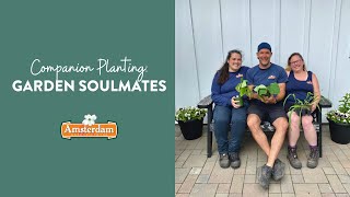 Companion Planting: Garden Soulmates