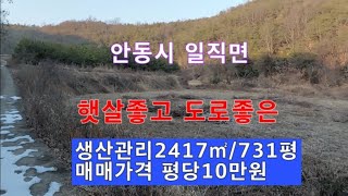 매물55.＃안동땅  ＃일직땅  생산관리 전 2417㎡