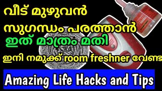 Amazing Kitchen Hacks and Tips //വീട്ടിൽ മുഴുവൻ സുഗന്ധം പരത്താൻ//#kitchentipsandtricks #tips #hacks