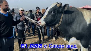 ШАНБЕБОЗОРИ ФАРХОР БУКАИ КАЛОН САВДОИ ГАРЕНИ ШУД, 1 марта 2025 г.