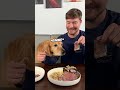 feeding a dog $1 vs $10 000 steak