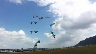 2019 Taoyuan international Kite Festival 10