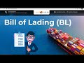 Bill of Lading B/L Process | Tranvision Shipping