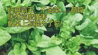 抗癌霸王、千金菜……萵筍居然這麼厲害，飯桌上怎能少了它！