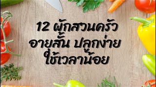 ผักสวนครัวปลูกง่าย 12 ชนิด ผักสวนครัวอายุสั้น ปลูกง่าย ใช้เวลาน้อย