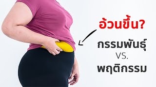 อ้วนขึ้น \u0026 ลดไขมันยาก เพราะกรรมพันธุ์ หรือ พฤติกรรม เราเลือกได้ไหม?