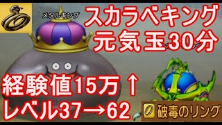 スカラベキングレベル上げメタルの香水メタキン【ドラクエ10オフライン】破毒のリング キングレオペアコインレシピ場所