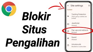 Cara Memblokir Situs Pengalihan di Browser Chrome | Blokir situs pengalihan (2024)