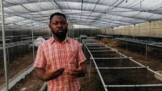 Snail greenhouse construction in Eruwa oyo state