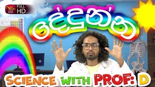 Dedunna - Rainbow - දේදුන්න හැදෙන හැටි