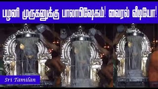 பழனி முருகனுக்கு பால் அபிஷேகம் வைரல் வீடியோ | Palani Murugan abhishekam Viral Video