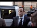 Oscar Pistorius Fit To Stand Trial - Day 33