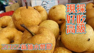 新埔水梨節2022｜黃金梨｜新興梨｜豐水梨｜青草茶