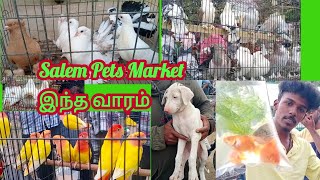 Salem Maniyanur Pets Market on 31.1.2023.சேலம் மணியனூர் வளர்ப்பு பிராணிகள் சந்தை 31.1.2023.