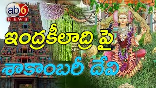 ఇంద్రకీలాద్రిపై శాకాంబరీ దేవి || AB6 NEWS