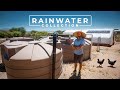 Thriving Off Grid in the Desert without a Well | PARAGRAPHIC