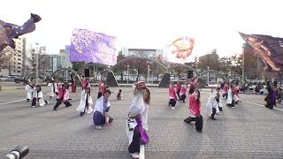 知多きらく @四日市よさこい祭り(市民公園会場) 2018-11-25T14:50