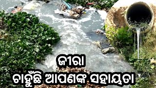 ଜୀରା ଚାହୁଁଛି ଆପଣଙ୍କ ସହାୟତା #bargarh #jirariver #river #odishanews #viral_video #latestnews #sambad