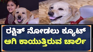 ಚಾರ್ಲಿ ನೋಡಿ ಮುದ್ದಾಡಿದ ರಕ್ಷಿತ್ | Rakshith shetty | 777 charlie