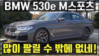 BMW 530e m sport 많이 팔리는데에는 이유가 있다! 530i m sport와는 어떤 옵션차이가 있을까? [bmw 530e 버니나 그레이, 모카시트]