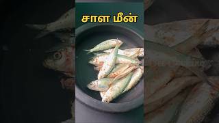 ₹50 இன்னைக்கி ரொம்ப பெரிய மீன் எல்லா வாங்கலங்க#shorts #fish