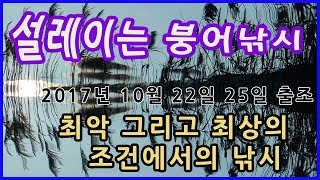 최악VS최상의 조건에서의 낚시[붕어낚시17년10월22일25일 출조]