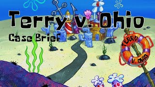 Terry v. Ohio Animated Case Brief SpongeBob Adaptation