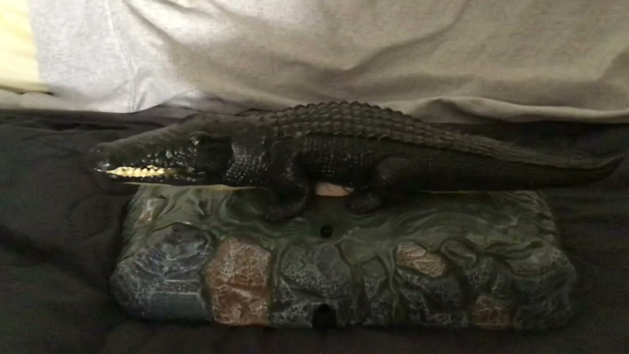 My Singing Fish Collection 2021 Part 2 Youtube