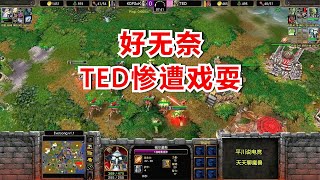 隐身3英雄偷袭，满屏女巫变羊，TED惨遭戏耍：好无奈！魔兽争霸3