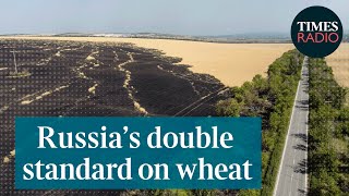 Should Ukraine farmers plant wheat crops for next year? | Louise Callaghan