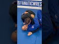 butterfly sweep holding the opponent s belt by thomas rodzynski