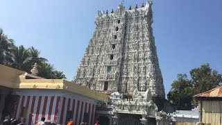 Suchindrum (Shiva, Brahma, Vishnu) Temple Kanyakumari #kshetradarsini #famoustemple  #suchindrum