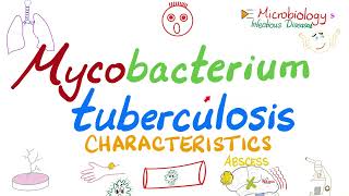 Mycobacterium tuberculosis (TB) - Characteristics - Acid-Fast - Microbiology 🧫 & Infectious Diseases