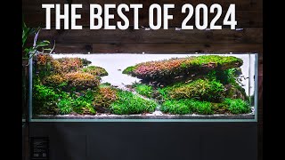 The Best Aquascape Of 2024?