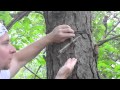 How To Attach A Whoopie Sling To A Tree