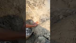 পুটি টেংরা মাছ ধরার নতুন কৌশল | Deshi puti mach dhora |Amazing Fishing Trapping In Village#shorts