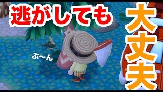 【ポケ森】基本や豆知識！いろいろまとめて解説！【どうぶつの森　ポケットキャンプ】