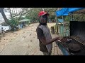 portlan best jerk pork