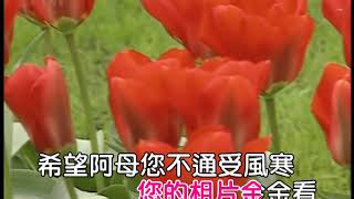 bA媽媽請您不通痛(伴唱-女)