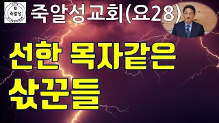 선한 목자같은 삯꾼들 (요 28) - 죽알성교회 (2021년도 9월 5일 설교)