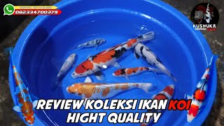 REVIEW KOLEKSI IKAN KOI HIGHT QUALITY‼️ DI MARKAS KUSHUKA KOI INDONESIA‼️