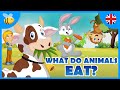 What do Carnivores, Herbivores and Omnivores Animals Eat? | Kids Videos