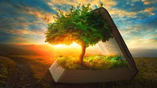 28 Day Change Your Thoughts Manifest New Reality Guided Sleep Meditation