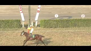 6th Race Munir Ahmad Dar Cup Winner Sardar Ridden By Jockey Amir Pervaiz Trained By Tauqeer Ahmed