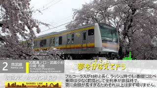 【両番線2C目！】宿河原駅 発車メロディ 「すいみん不足」「夢をかなえてドラえもん」