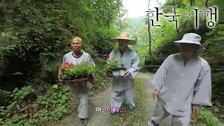 한국기행 - Korea travel_그 여름의 산사 2부- 세 스님의 어느 여름날_#001