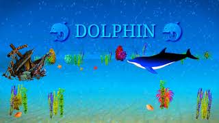 #dolphinin4k #dolphin #pleasentnature                DOLPHINS IN 4K 🐬 || PLEASENTNATURE