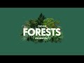 FSC Forest Week 2022 - What is a Healthy FSC-certified Forest Like?